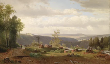 Motif de la forêt viennoise